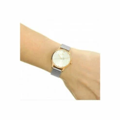 Radley Gift Set Plated Stainless Steel Fashion Analogue Watch - Ry4411A-Set For Female -Jeff Banks Online Shop unnamed file 1008