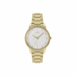Radley Fashion Analogue Quartz Watch - Ry4554 For Female
