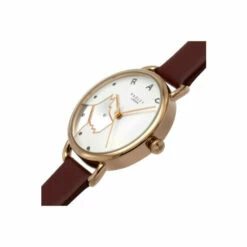 Radley Wood Street Plated Stainless Steel Fashion Analogue Watch - Ry2874 For Female -Jeff Banks Online Shop unnamed file 1051
