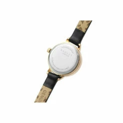 Radley Plated Stainless Steel Fashion Analogue Quartz Watch - Ry21304 For Female -Jeff Banks Online Shop unnamed file 1154