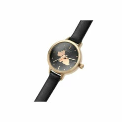 Radley Plated Stainless Steel Fashion Analogue Quartz Watch - Ry21304 For Female -Jeff Banks Online Shop unnamed file 1155