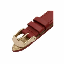 Radley Fashion Analogue Quartz Watch - Ry21184 For Female -Jeff Banks Online Shop unnamed file 1292