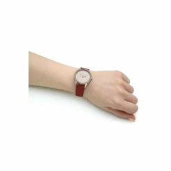 Radley Fashion Analogue Quartz Watch - Ry21184 For Female -Jeff Banks Online Shop unnamed file 1294