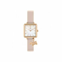 Radley Fashion Analogue Quartz Watch - Ry21372 For Female