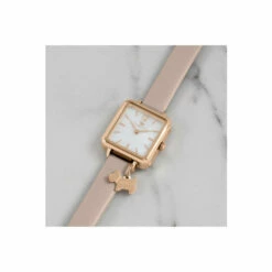 Radley Fashion Analogue Quartz Watch - Ry21372 For Female -Jeff Banks Online Shop unnamed file 1304