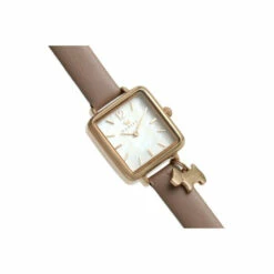 Radley Fashion Analogue Quartz Watch - Ry21372 For Female -Jeff Banks Online Shop unnamed file 1307