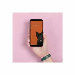 Radley Smart Plastic/resin Digital Quartz Fitness Watch - Rys01-2050 For Female -Jeff Banks Online Shop unnamed file 1332