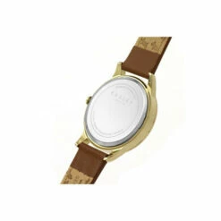 Radley Fashion Analogue Quartz Watch - Ry21180 For Female -Jeff Banks Online Shop unnamed file 1353