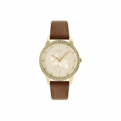Radley Fashion Analogue Quartz Watch - Ry21180 For Female -Jeff Banks Online Shop unnamed file 1355