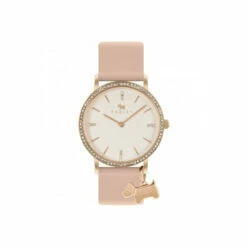 Radley Fashion Analogue Quartz Watch - Ry21358 For Female -Jeff Banks Online Shop unnamed file 1398