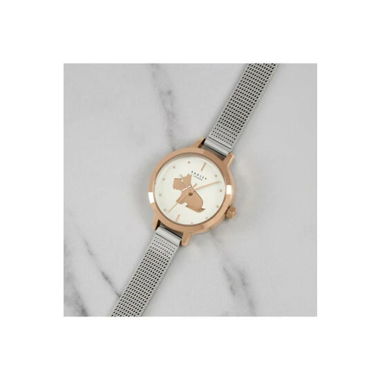 Radley Plated Stainless Steel Fashion Analogue Quartz Watch - Ry4590 For Female 3 Radley Plated Stainless Steel Fashion Analogue Quartz Watch - Ry4590 For Female - Image 3