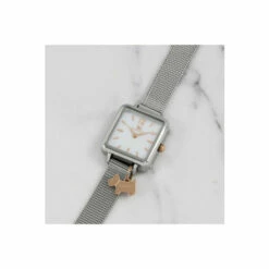 Radley Fashion Analogue Quartz Watch - Ry4599 For Female -Jeff Banks Online Shop unnamed file 1485