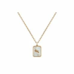 Radley Jewellery Plated Base Metal Fashion Necklace - Ryj2214S For Female