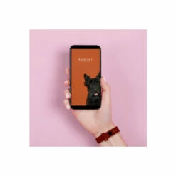 Radley Smart Series 1 Plastic/resin Fitness Watch - Rys01-2010 For Female -Jeff Banks Online Shop unnamed file 1536