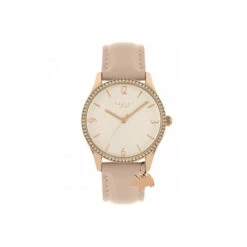 Radley Plated Stainless Steel Fashion Analogue Quartz Watch - Ry21324 For Female