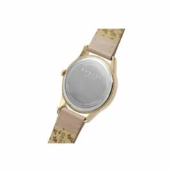 Radley Plated Stainless Steel Fashion Analogue Quartz Watch - Ry21324 For Female -Jeff Banks Online Shop unnamed file 165