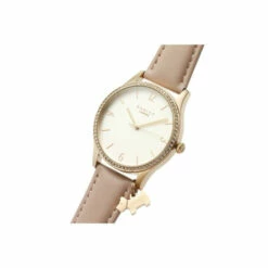 Radley Plated Stainless Steel Fashion Analogue Quartz Watch - Ry21324 For Female -Jeff Banks Online Shop unnamed file 166