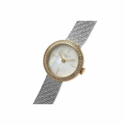 Radley Stainless Steel Fashion Analogue Quartz Watch - Ry4567 For Female 9 Radley Stainless Steel Fashion Analogue Quartz Watch - Ry4567 For Female -Jeff Banks Online Shop unnamed file 181