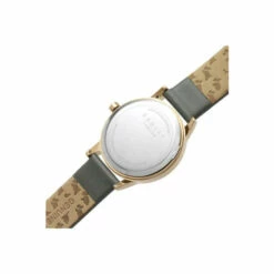 Radley Plated Stainless Steel Fashion Analogue Quartz Watch - Ry21312 For Female -Jeff Banks Online Shop unnamed file 307