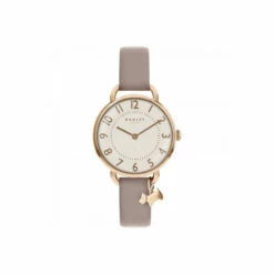 Radley Southwark Park Stainless Steel Fashion Analogue Watch - Ry2544S For Female