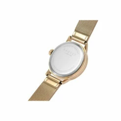 Radley Stainless Steel Fashion Analogue Quartz Watch - Ry4582A For Female -Jeff Banks Online Shop unnamed file 491