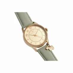 Radley Fashion Analogue Quartz Watch - Ry21456 For Female -Jeff Banks Online Shop unnamed file 548