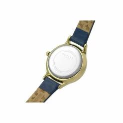 Radley Plated Stainless Steel Fashion Analogue Quartz Watch - Ry2974 For Female -Jeff Banks Online Shop unnamed file 557