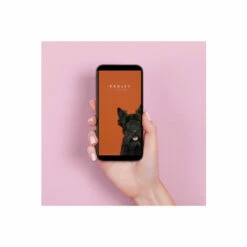 Radley Smart Plastic/resin Fitness Watch - Rys01-2067-Set For Female -Jeff Banks Online Shop unnamed file 633