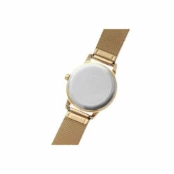 Radley Gold Plated Stainless Steel Fashion Analogue Quartz Watch - Ry4536A For Female -Jeff Banks Online Shop unnamed file 654