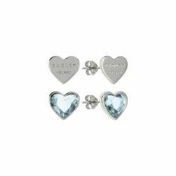 Radley Jewellery Fashion Earrings - Ryj1157S-Card For Female -Jeff Banks Online Shop unnamed file 668