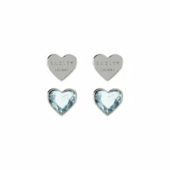 Radley Jewellery Fashion Earrings - Ryj1157S-Card For Female -Jeff Banks Online Shop unnamed file 669