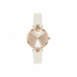 Radley Fashion Analogue Quartz Watch - Ry21382 For Female -Jeff Banks Online Shop unnamed file 68
