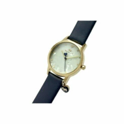 Radley Gold Plated Stainless Steel Fashion Analogue Quartz Watch - Ry21086A For Female -Jeff Banks Online Shop unnamed file 680