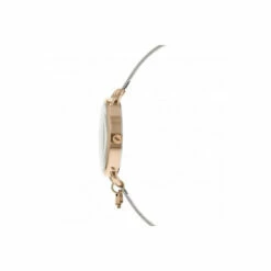 Radley Plated Stainless Steel Fashion Analogue Quartz Watch - Ry4525 For Female -Jeff Banks Online Shop unnamed file 723