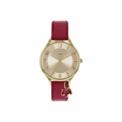 Radley Gold Plated Stainless Steel Fashion Analogue Quartz Watch - Ry2968 For Female