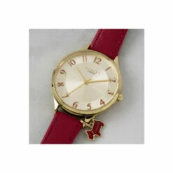 Radley Gold Plated Stainless Steel Fashion Analogue Quartz Watch - Ry2968 For Female -Jeff Banks Online Shop unnamed file 772