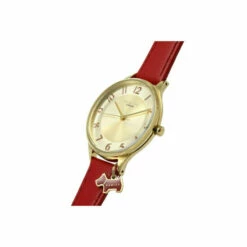 Radley Gold Plated Stainless Steel Fashion Analogue Quartz Watch - Ry2968 For Female -Jeff Banks Online Shop unnamed file 777