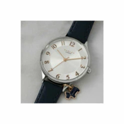 Radley Stainless Steel Fashion Analogue Quartz Watch - Ry2965 For Female -Jeff Banks Online Shop unnamed file 786