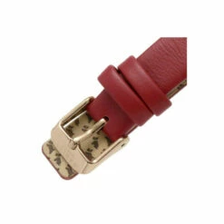 Radley Fashion Analogue Quartz Watch - Ry21244A For Female -Jeff Banks Online Shop unnamed file 826