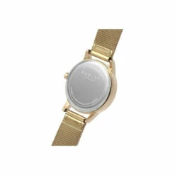 Radley Gold Plated Stainless Steel Fashion Analogue Quartz Watch - Ry4586 For Female -Jeff Banks Online Shop unnamed file 861