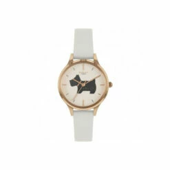 Radley Plated Stainless Steel Fashion Analogue Quartz Watch - Ry2976 For Female