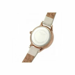 Radley Plated Stainless Steel Fashion Analogue Quartz Watch - Ry2976 For Female -Jeff Banks Online Shop unnamed file 979